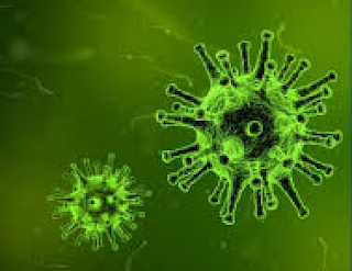 Rebrote en una pandemia fuera de control Rebrote en una pandemia fuera de control