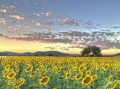 campaña “Viaje corto” mantiene promoción turística para Luis Potosí