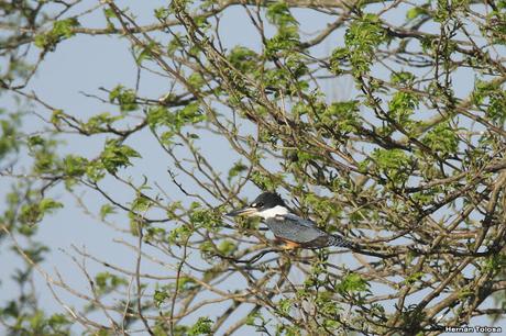 General Belgrano y alrededores