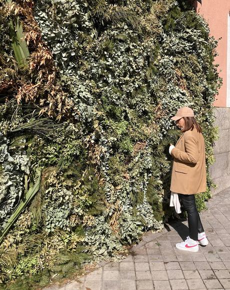 BLAZER + GORRA.- BLAZER + GORRA.-
