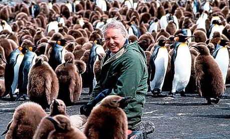 David Attenborough: Una vida en nuestro planeta