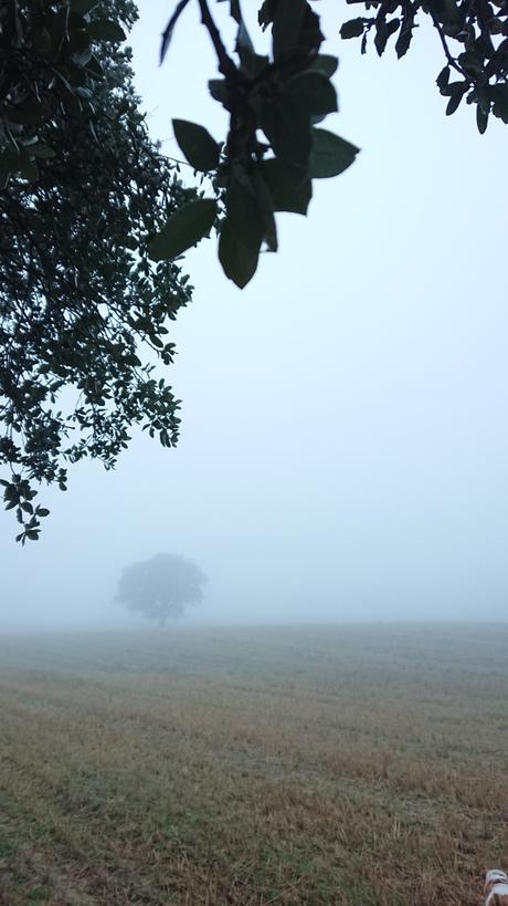 Después de la tormenta