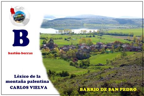 Bastón-berras Bastón-berras