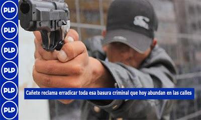 ESTADÍSTICAS DELICTIVAS EN CAÑETE PREOCUPAN…