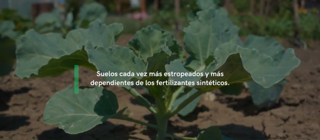 ejemplos de fertilizantes ecológicos: de la granja a la mesa