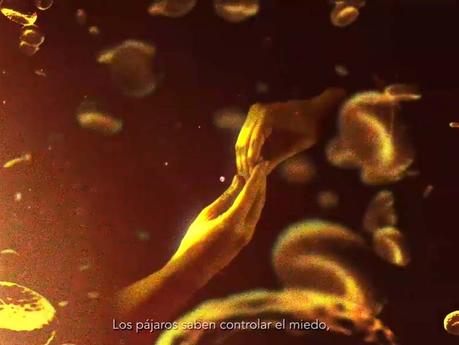 Entre ópera videoarte: 