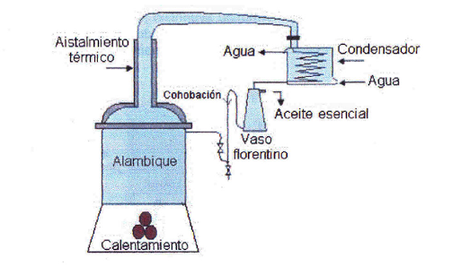 Los métodos de extracción de los aceites esenciales naturales Los métodos de extracción de los aceites esenciales naturales