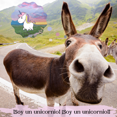 Debate: Los límites del escritor: ¿don innato, voluntad o perseverancia?