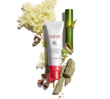 clear-out-stick-mascarilla-my-clarins-ingredientes