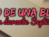 Evolución novela Septiembre 2020 Diario Blogger mundos Imaginarios