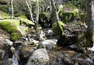 Calma. Valle de Iruelas. 2020-10