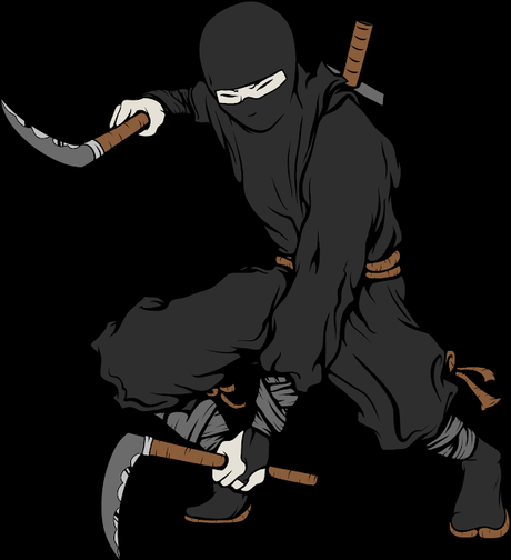 Las mentiras que te contaron de los ninjas