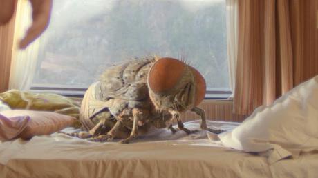 MANDIBULES -¿DÓNDE ESTÁ LA MOSCA? MANDIBULES -¿DÓNDE ESTÁ LA MOSCA?