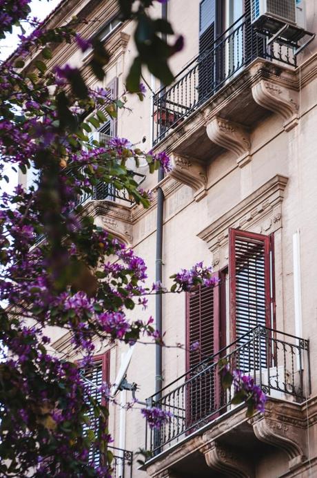#NuevaRealidad ( Flores y luz.) #NuevaRealidad ( Flores y luz.)