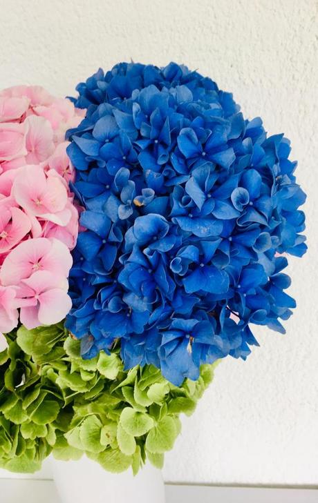 #NuevaRealidad ( Flores y luz.) #NuevaRealidad ( Flores y luz.)