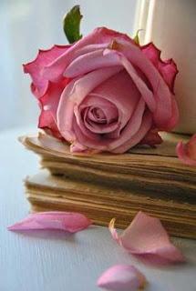 4.350 - OLOR A ROSAS...