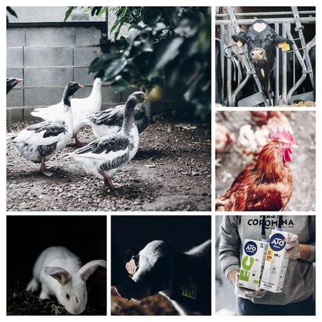 Ruta foodie por Cataluña