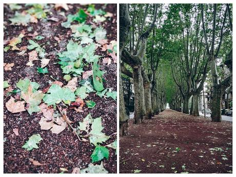 Ruta foodie por Cataluña