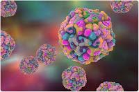 ¿Cómo un virus puede desencadenar diabetes? ¿Cómo un virus puede desencadenar diabetes?