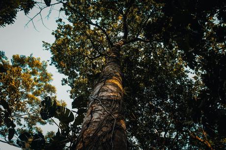 David Gutiérrez: Ella y el gigante