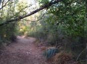 Cruce camino
