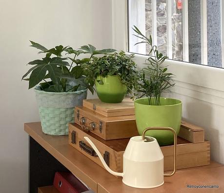 Simplemente cajas...