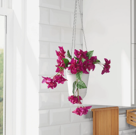 Un homenaje con color buganvilla...