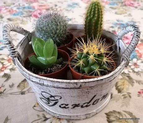 Pequeñas espinas...