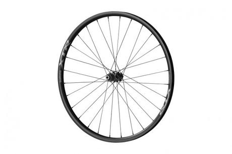 Canyon 2019: nuevas NEURON CF y NEURON:ON