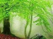 como alcanzar PLENITUD VIDA