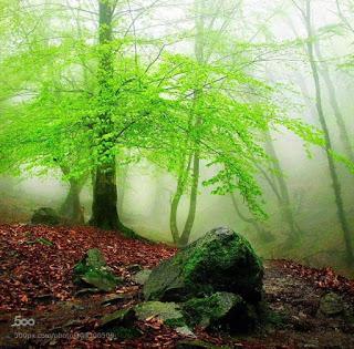 como alcanzar la PLENITUD en la VIDA