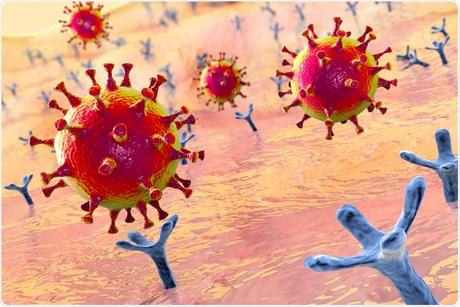 Mutaciones que vuelven débil al coronavirus Mutaciones que vuelven débil al coronavirus