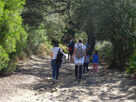 Munigua: Un pueblo romano secreto a una hora de Sevilla. Parte I, la zona terrenal.