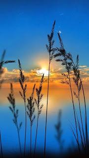 4.352 - EL SOL VOLVIÓ...