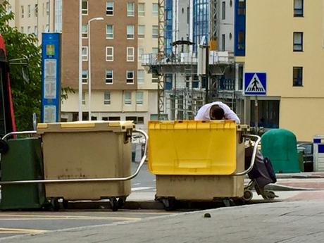 El ciclo de la basura