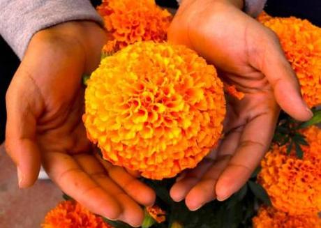 El Día de los Muertos