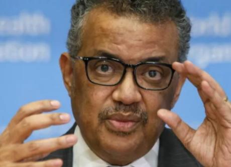 Si algo no huele a podrido, alguna explicación habrá a tan macabra superchería