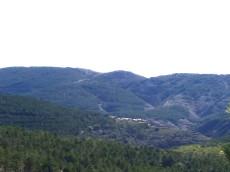 La distancia es el olvido