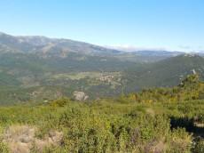 La distancia es el olvido