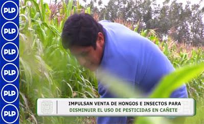 CUIDANDO LA SALUD DE LA POBLACIÓN Y DE LAS FUTURAS GENERACIONES...