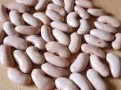 receta mes. Sólo vegetales legumbres