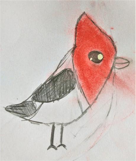 Investigación sobre aves de alumnos de 2° año del Colegio Aprenderes