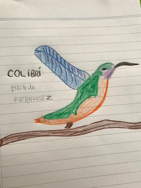 Investigación sobre aves de alumnos de 2° año del Colegio Aprenderes