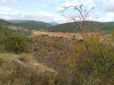 Ruta verde y de colores