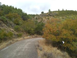 Ruta verde y de colores