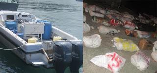 Tolerancia cero al narcotráfico en Cuba: incautadas más de 2 toneladas en octubre