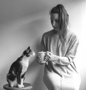 Evanfelino ilustra el poder gatuno