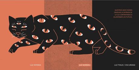 Evanfelino ilustra el poder gatuno Evanfelino ilustra el poder gatuno