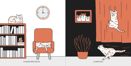 Evanfelino ilustra el poder gatuno Evanfelino ilustra el poder gatuno