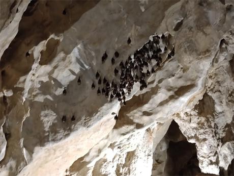 La Cueva de las Guixas en Villanua, Huesca